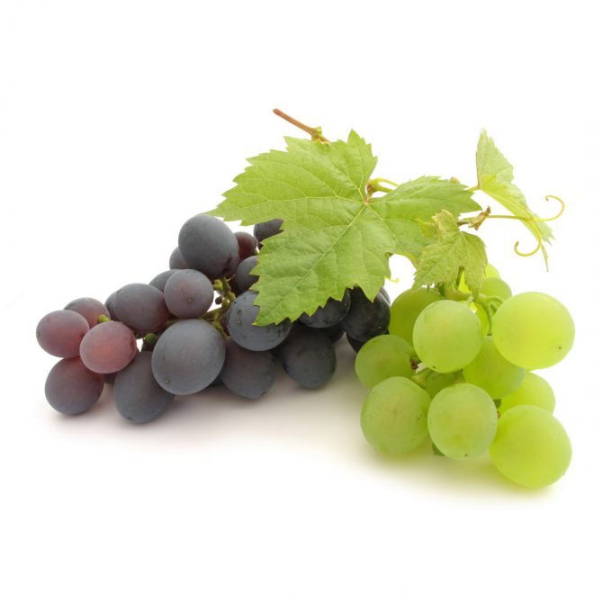 8606 high resolution photo grape 660x660 1